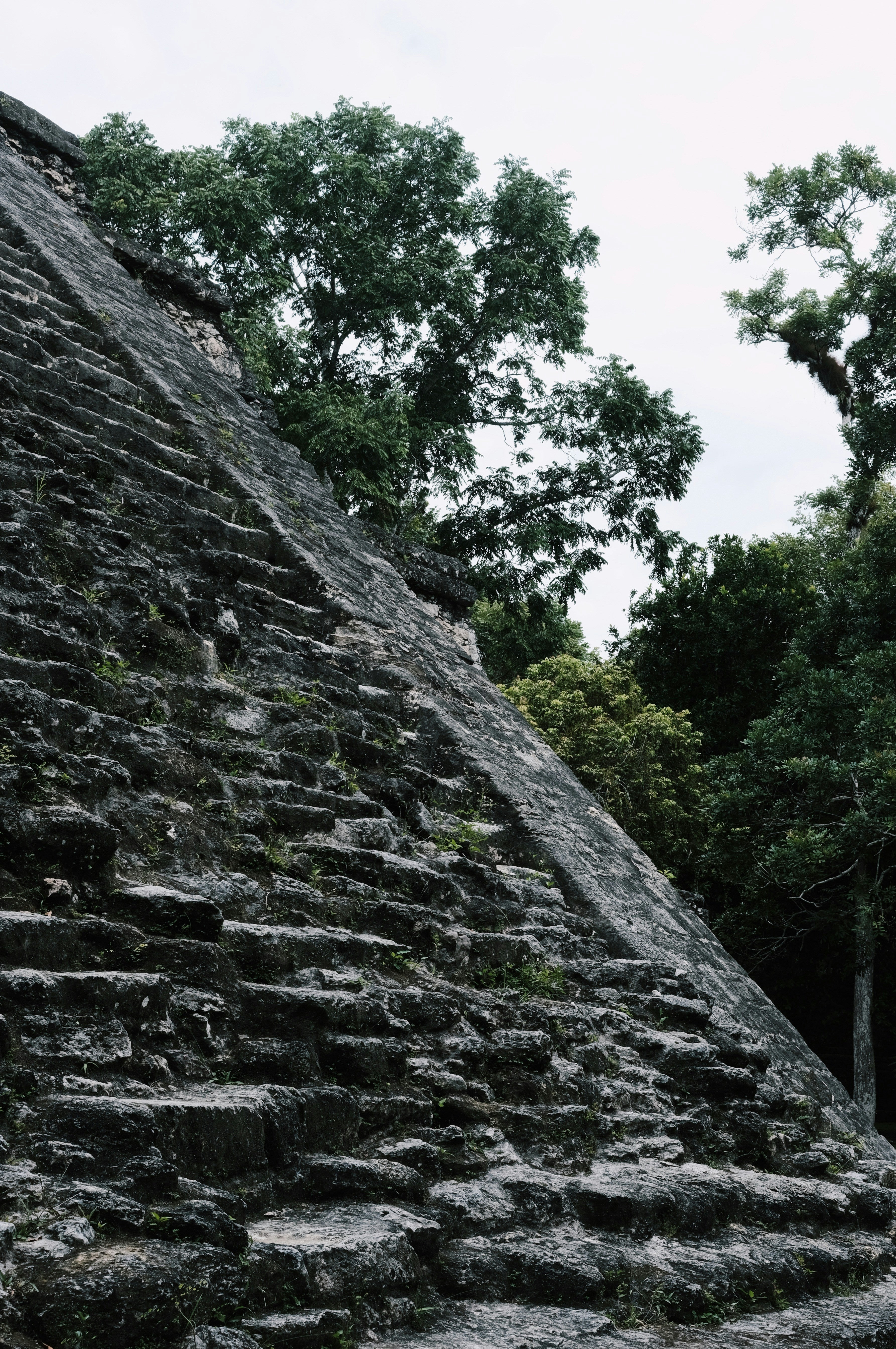 Mesoamerican Interior Design: Expressions of Power, Ritual, and Craftsmanship