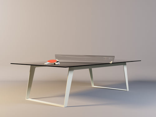 Modern Sleek Ping Pong Table