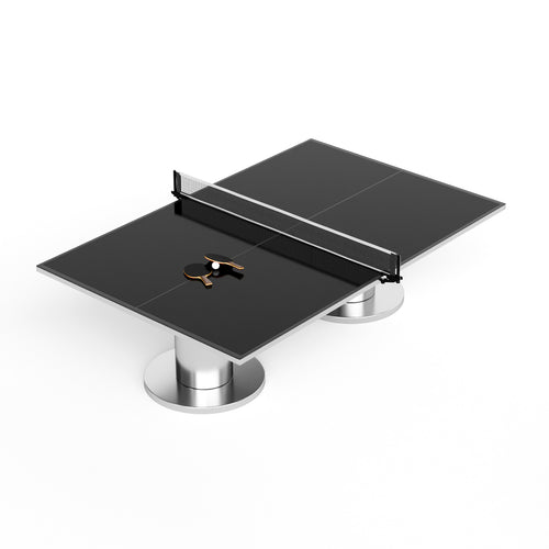 Lake Tahoe Ping Pong Table