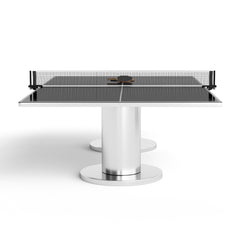 Lake Tahoe Ping Pong Table